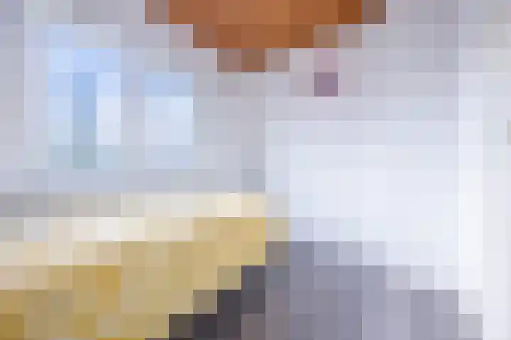 Piet Heynlaan 3 Breda thumbnail 32