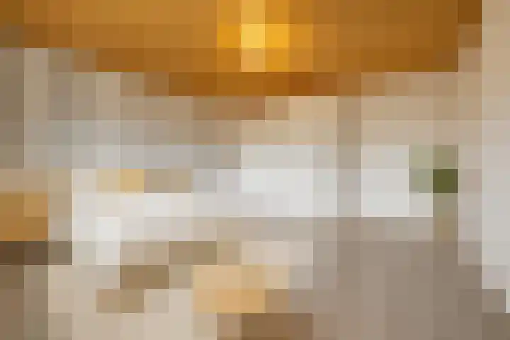 Piet Heynlaan 3 Breda thumbnail 33
