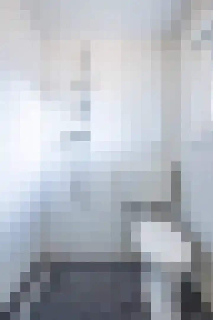 Piet Heynlaan 3 Breda thumbnail 37