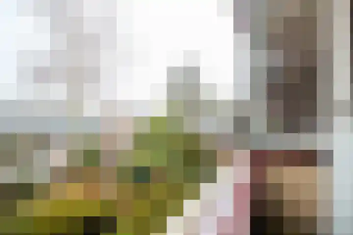 Piet Heynlaan 3 Breda thumbnail 40