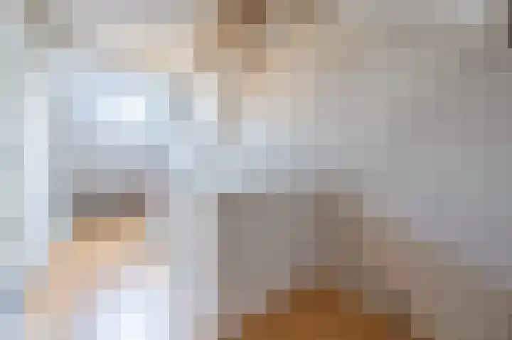 Piet Heynlaan 3 Breda thumbnail 40