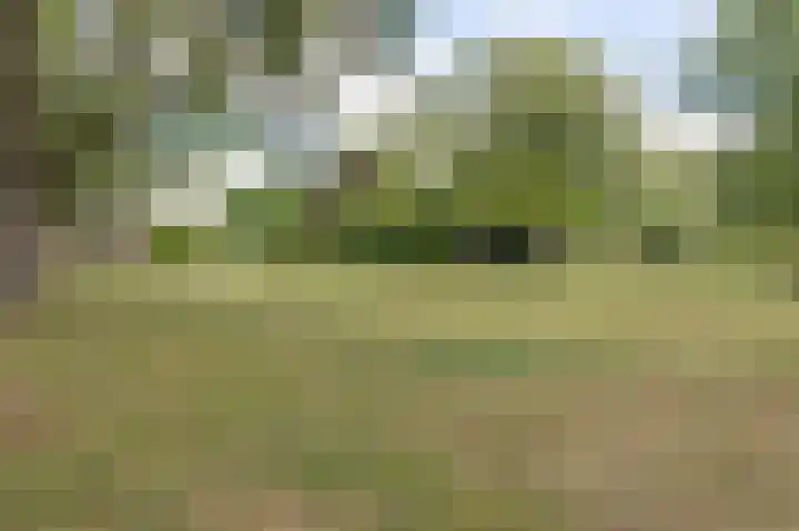 Piet Heynlaan 3 Breda thumbnail 50
