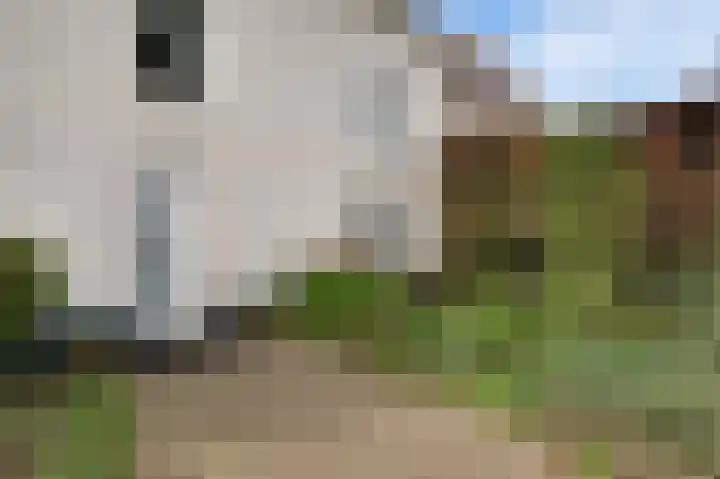 Piet Heynlaan 3 Breda thumbnail 7