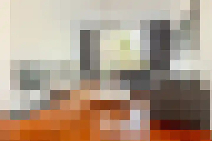Piet Heynlaan 32 Breda thumbnail 11