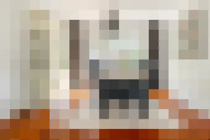 Piet Heynlaan 32 Breda thumbnail 12