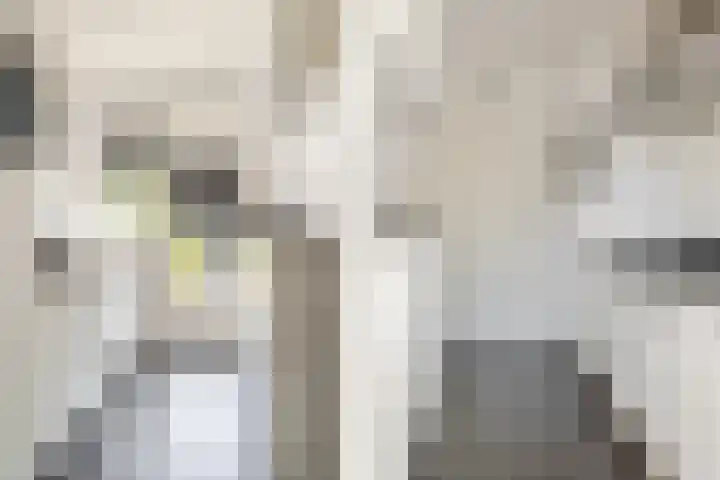 Piet Heynlaan 32 Breda thumbnail 14