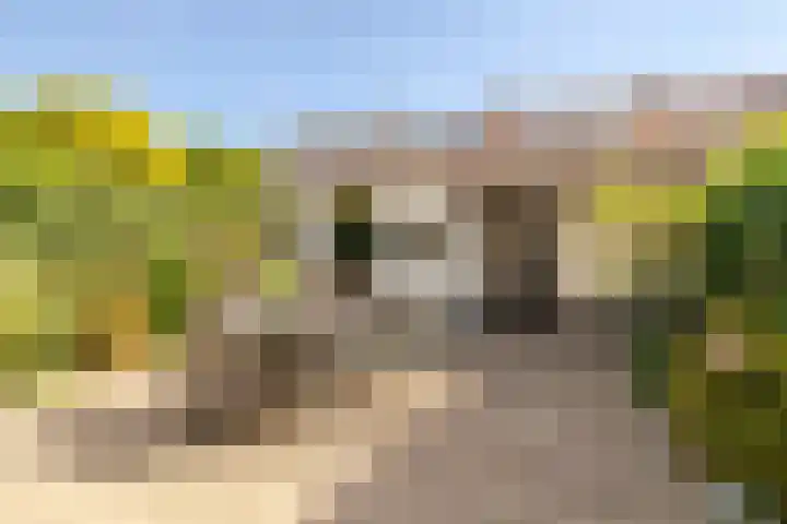Piet Heynlaan 32 Breda thumbnail 16
