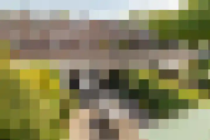 Piet Heynlaan 32 Breda thumbnail 23