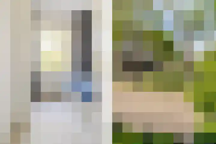 Piet Heynlaan 32 Breda thumbnail 24
