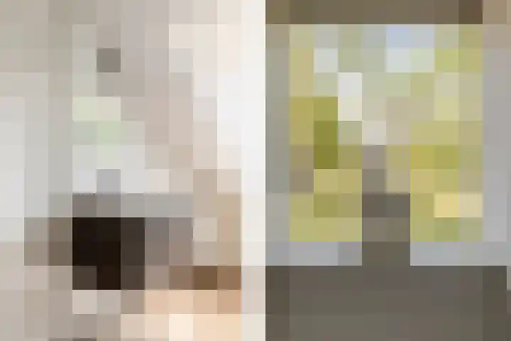 Piet Heynlaan 32 Breda thumbnail 26
