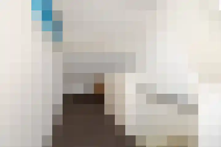 Piet Heynlaan 32 Breda thumbnail 27