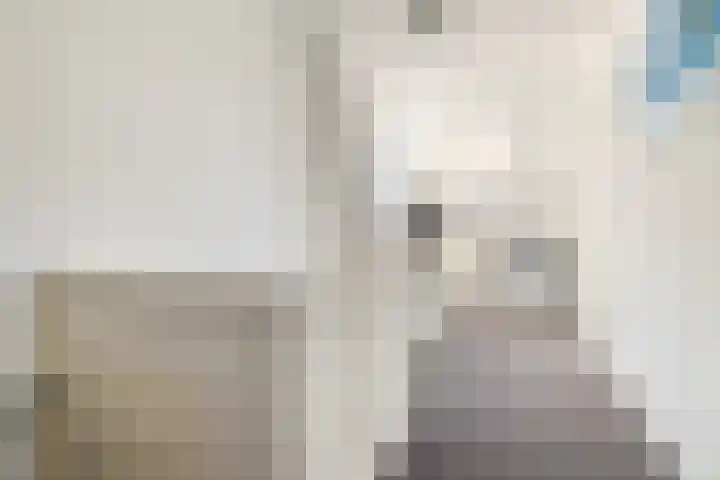 Piet Heynlaan 32 Breda thumbnail 28