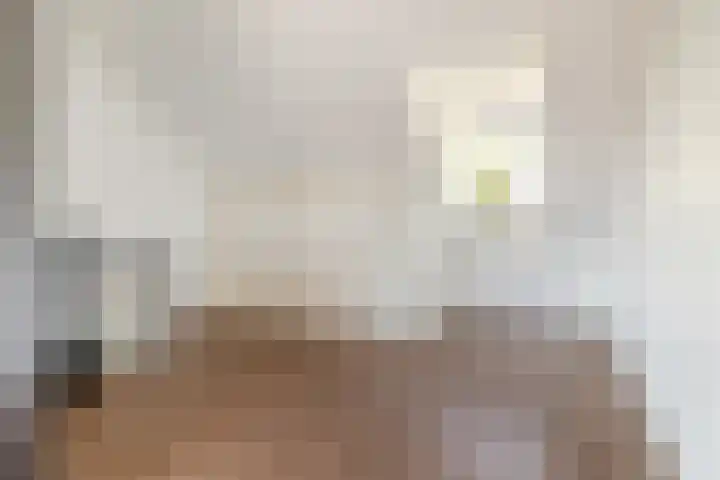 Piet Heynlaan 32 Breda thumbnail 29