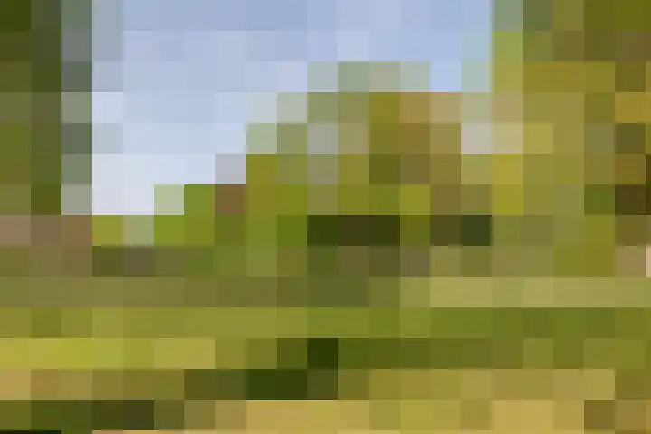Piet Heynlaan 32 Breda thumbnail 32