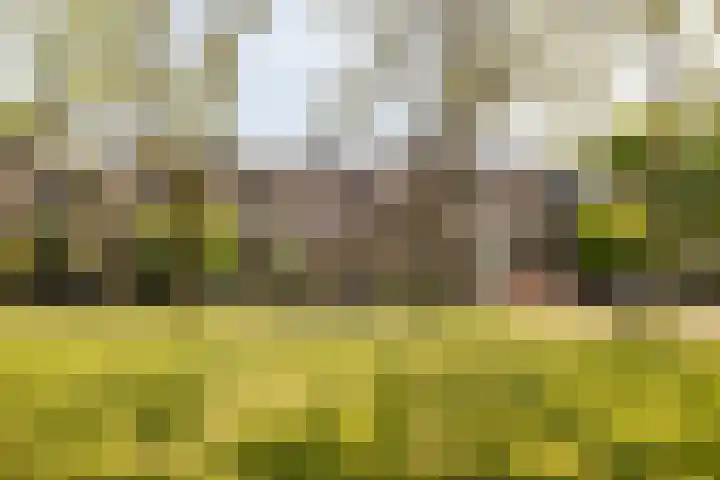 Piet Heynlaan 32 Breda thumbnail 33