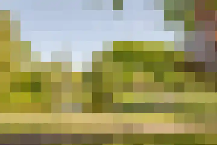 Piet Heynlaan 32 Breda thumbnail 35