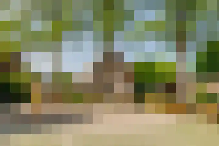 Piet Heynlaan 32 Breda thumbnail 36