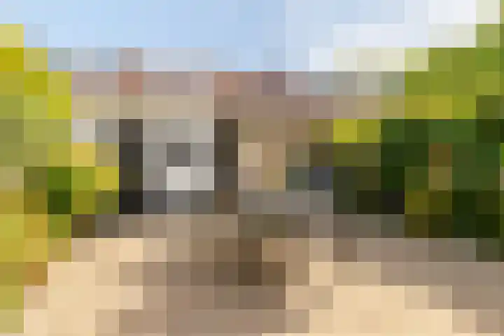 Piet Heynlaan 32 Breda thumbnail 5