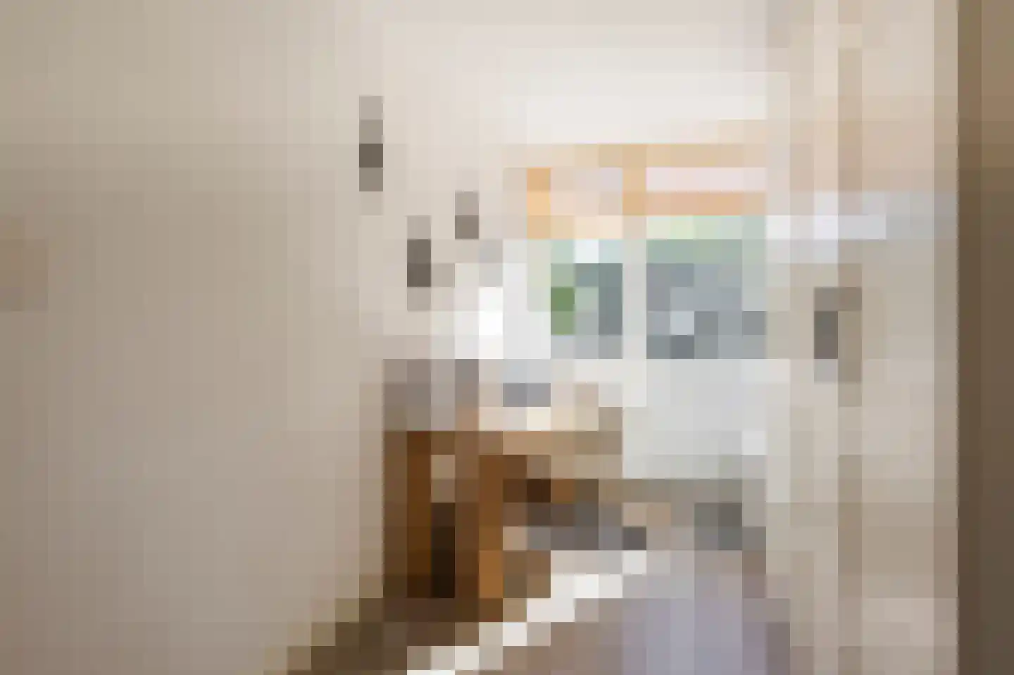 Piet Heynstraat 22 Papendrecht thumbnail 14
