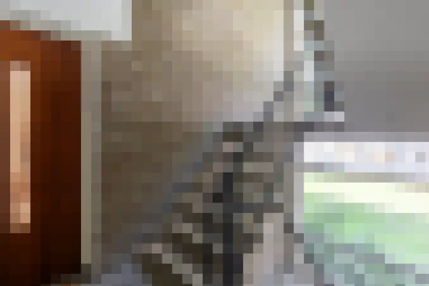 Piet Heynstraat 22 Papendrecht thumbnail 21