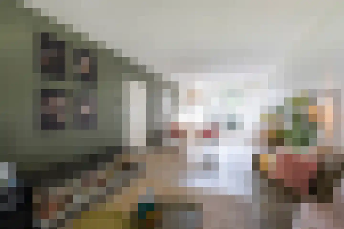 Piet Heynstraat 22 Papendrecht thumbnail 6