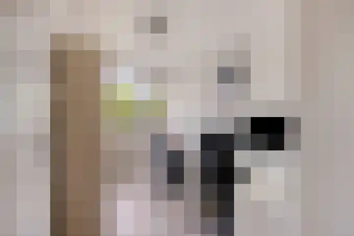 Piet Heynstraat 25 Zwijndrecht thumbnail 20