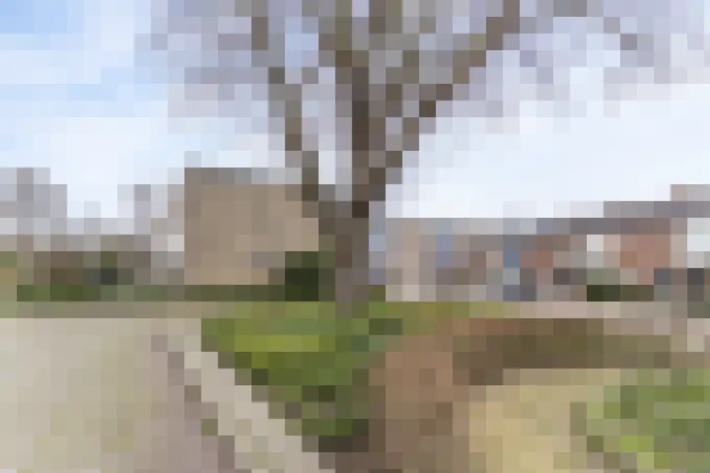 Piet Heynstraat 27 Zwijndrecht thumbnail 33