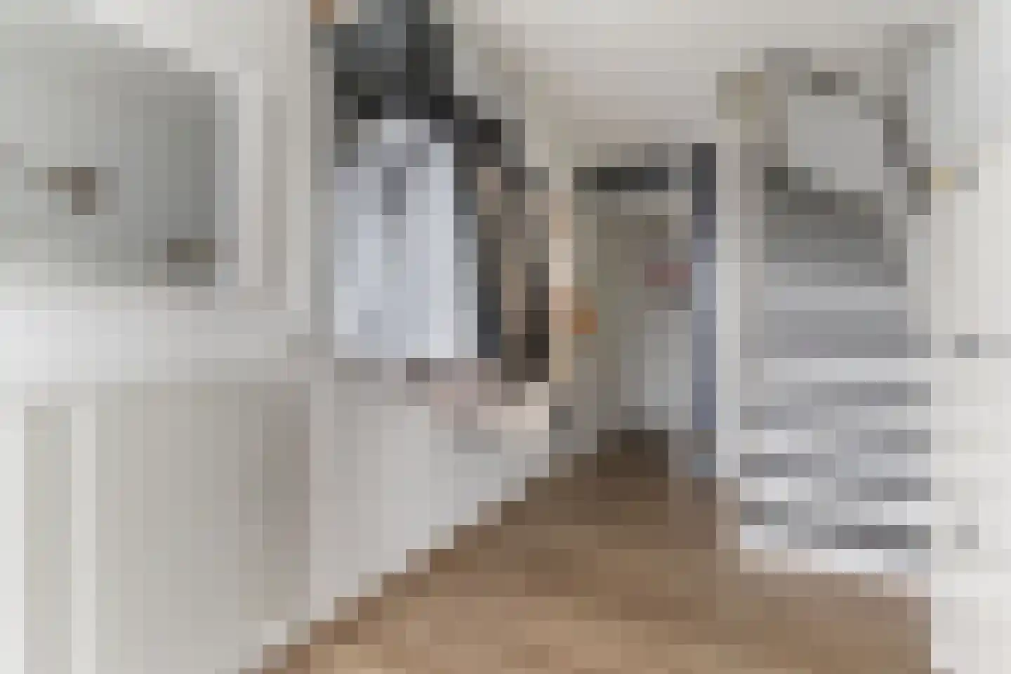 Piet Heynstraat 27 Zwijndrecht thumbnail 5