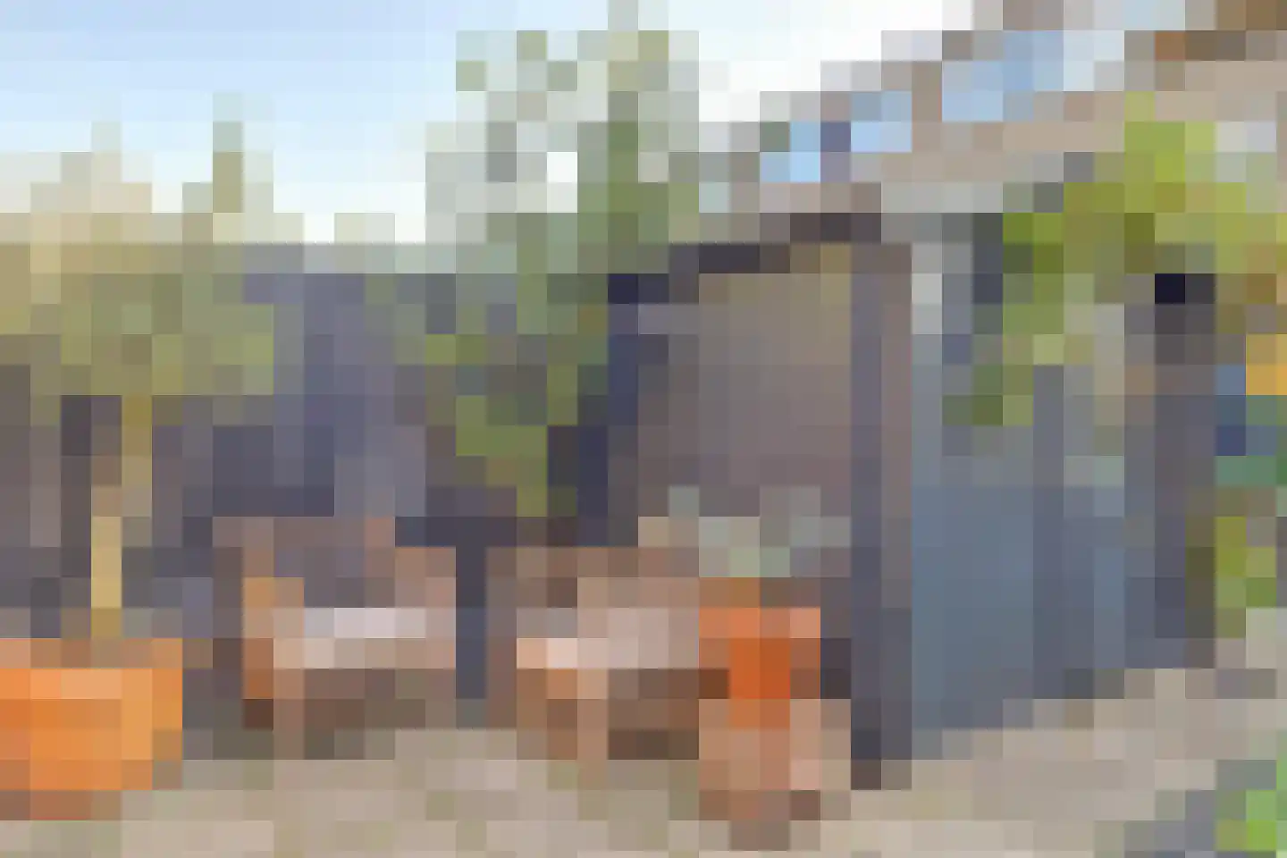 Piet Heynstraat 33 Zwijndrecht thumbnail 43