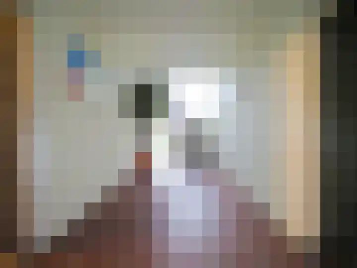 Piet Heynstraat 36 Papendrecht thumbnail 7
