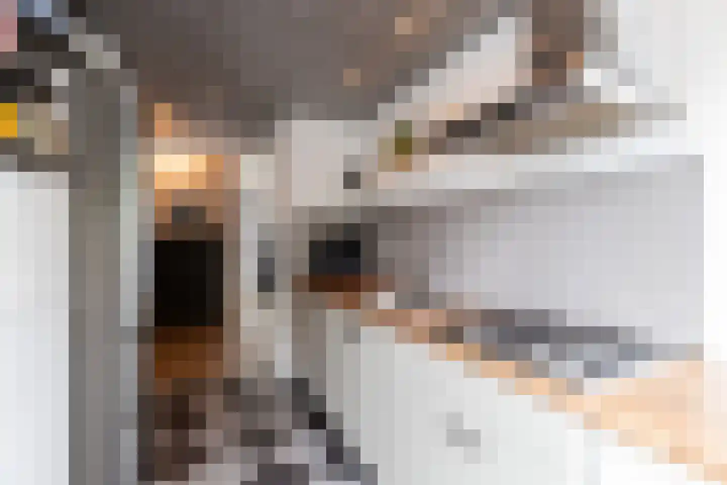 Piet Heynstraat 58 Papendrecht thumbnail 17