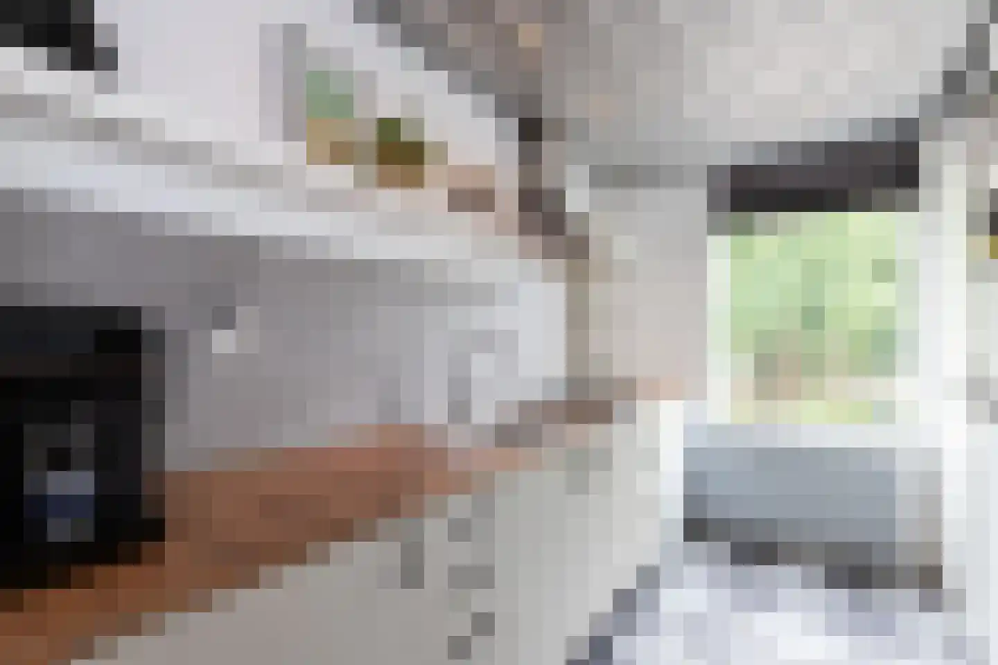 Piet Heynstraat 58 Papendrecht thumbnail 4