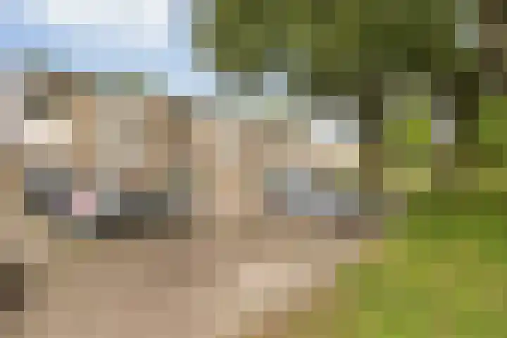 Piet Heynstraat 64 Papendrecht thumbnail 4