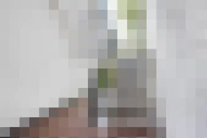 Piet Heynstraat 64 Papendrecht thumbnail 5