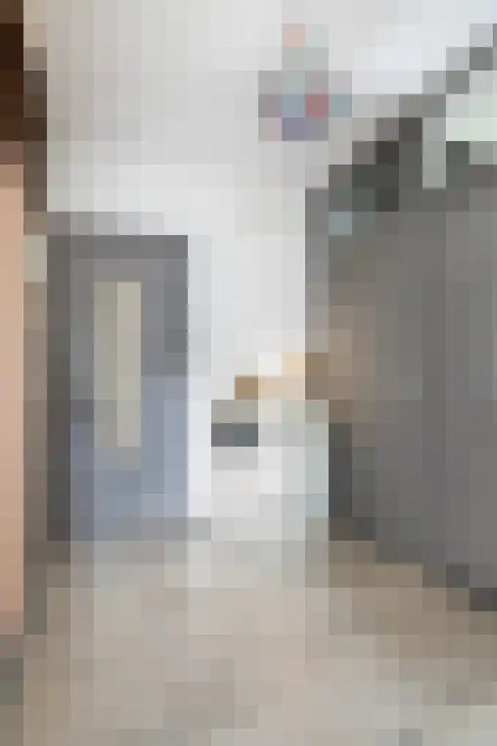 Piet Heynstraat 64 Papendrecht thumbnail 6