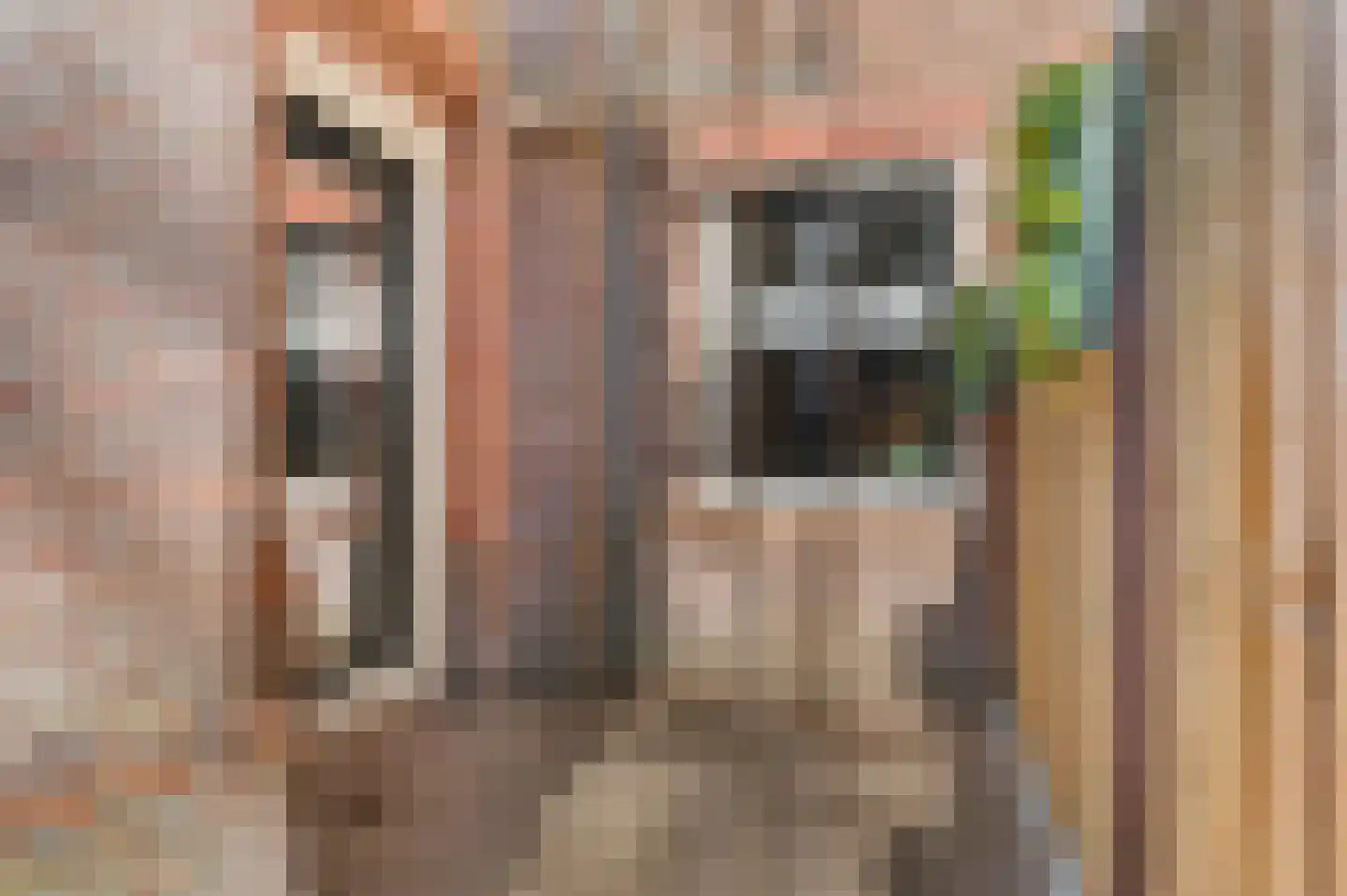 Piet Joubertstraat 4 B Apeldoorn thumbnail 7