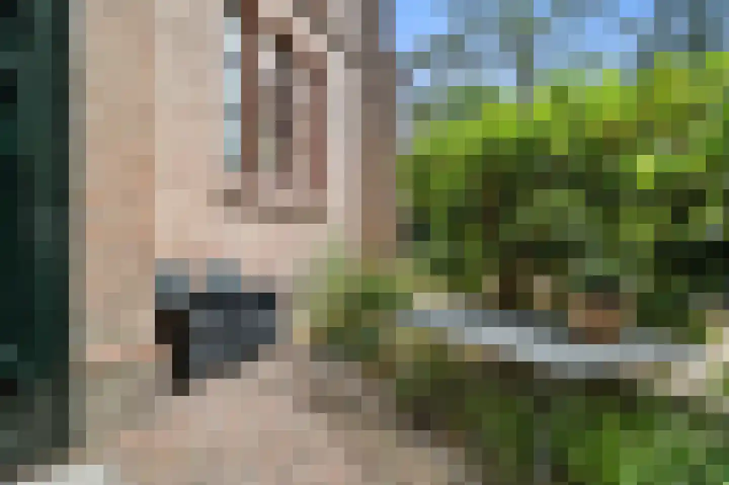 Piet Joubertstraat 4 H Apeldoorn thumbnail 17