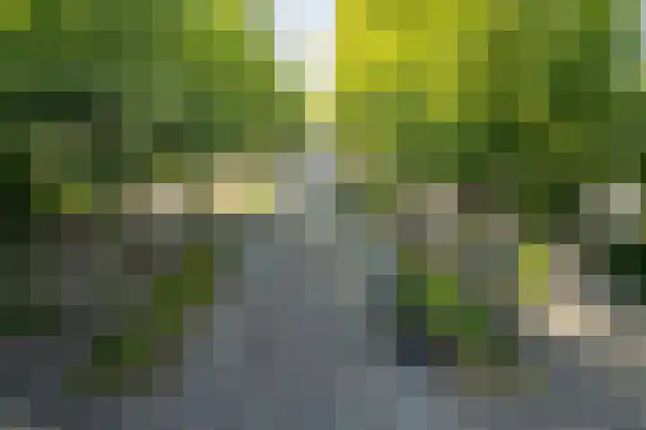 Piet Joubertstraat 4 H Apeldoorn thumbnail 22