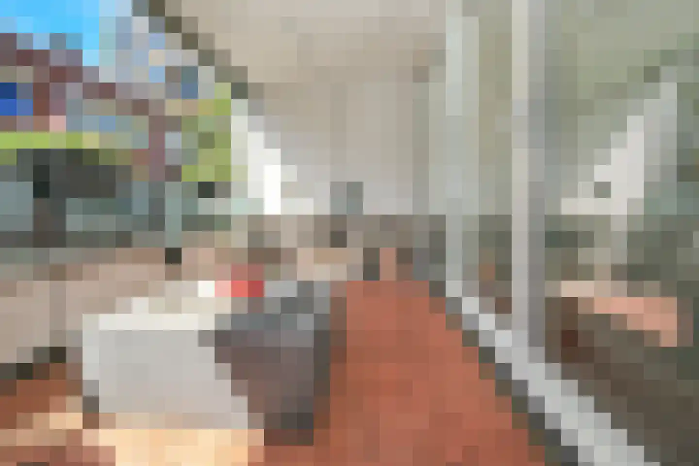 Piet Kraakstraat 19 Haarlem thumbnail 21