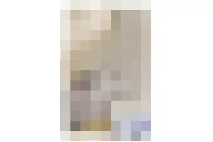 Piet Kramerzoom 11 Bergschenhoek thumbnail 11