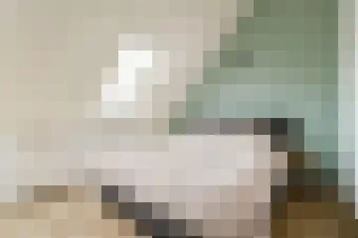 Piet Kramerzoom 11 Bergschenhoek thumbnail 12
