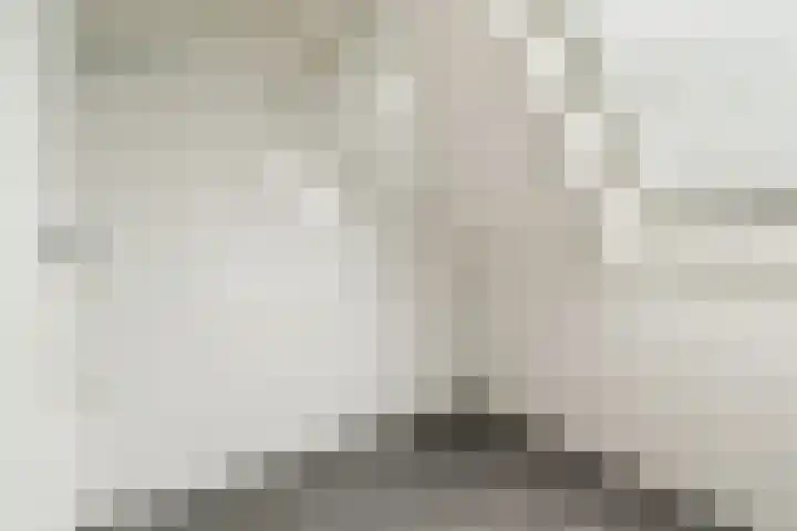 Piet Kramerzoom 11 Bergschenhoek thumbnail 14