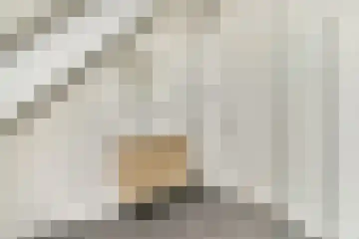 Piet Kramerzoom 11 Bergschenhoek thumbnail 15