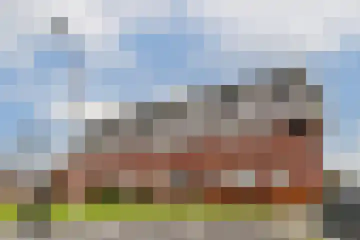 Piet Kramerzoom 11 Bergschenhoek thumbnail 16