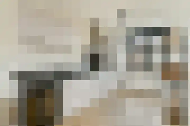Piet Kramerzoom 11 Bergschenhoek foto 3