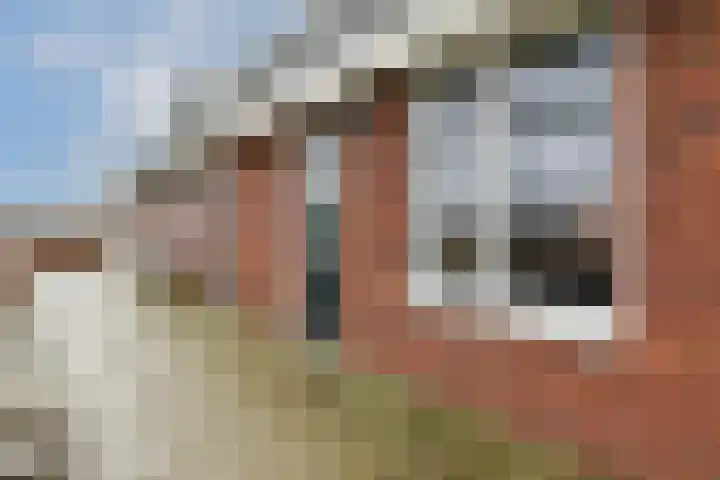 Piet Kramerzoom 11 Bergschenhoek thumbnail 4