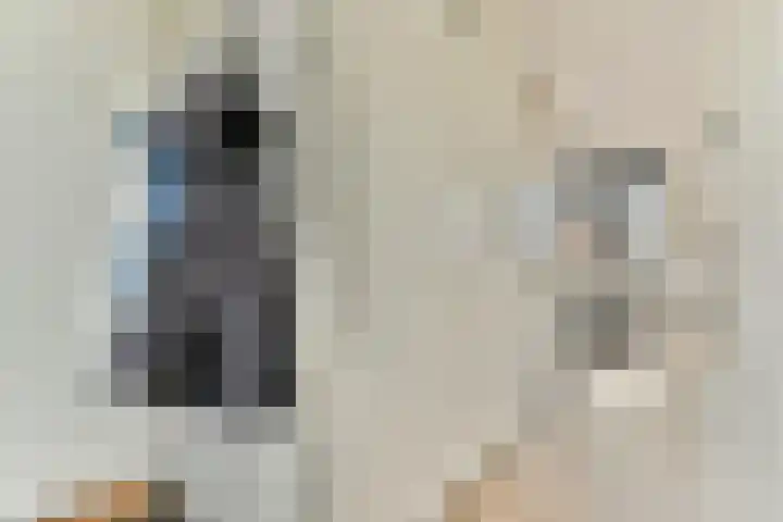 Piet Kramerzoom 11 Bergschenhoek thumbnail 5