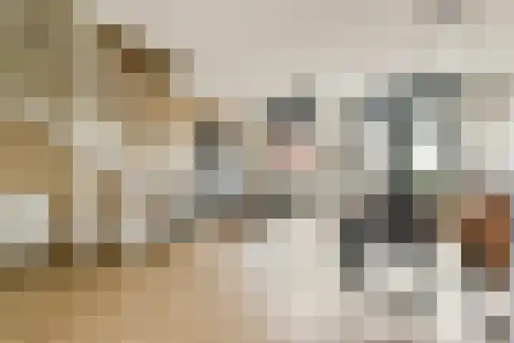 Piet Kramerzoom 11 Bergschenhoek thumbnail 6