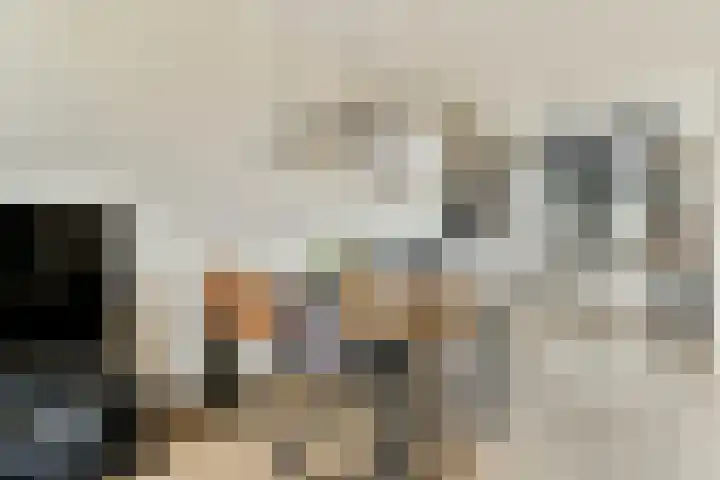 Piet Kramerzoom 11 Bergschenhoek thumbnail 8