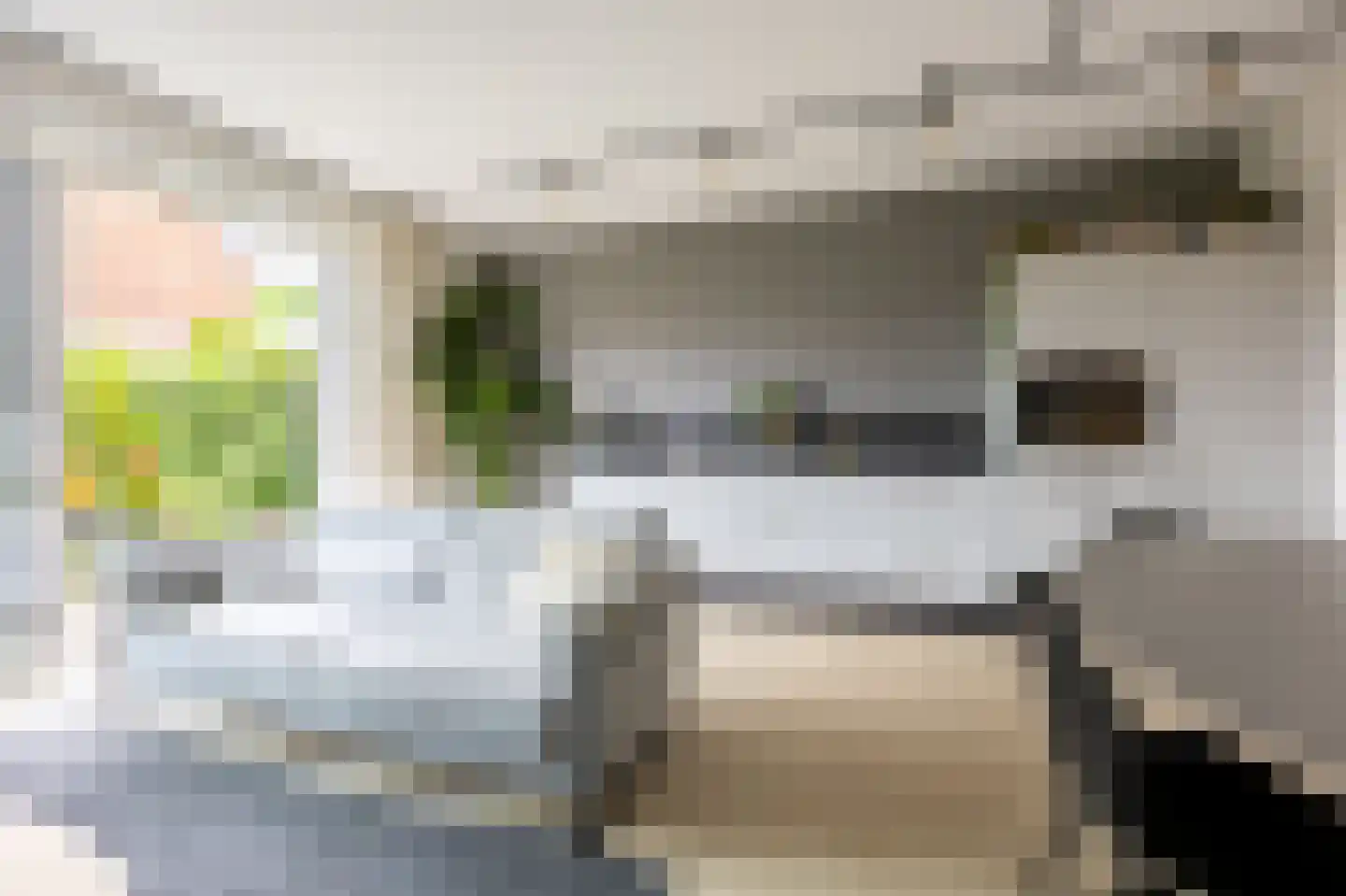 Piet Kramerzoom 123 Bergschenhoek thumbnail 18